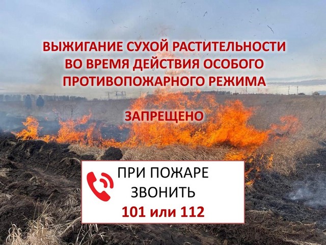 photo 19 06 2025 01